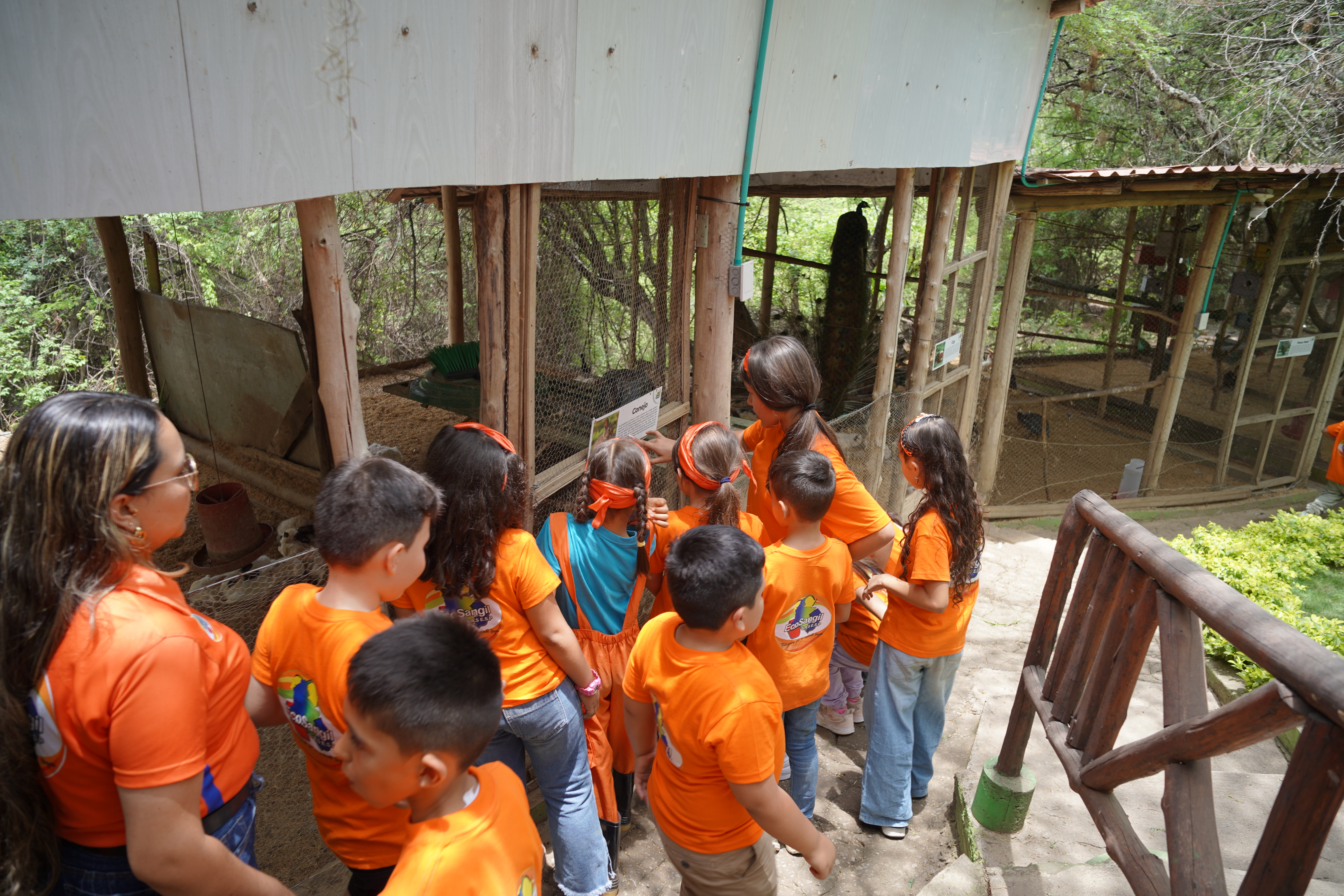 Educación ambiental